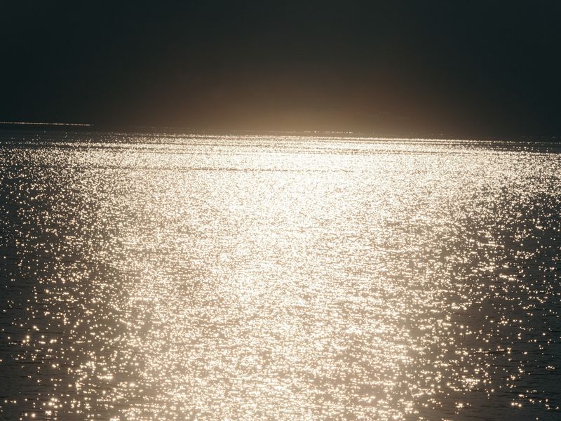 © Manu Gruber - Image from the PRIMAVERA photography project