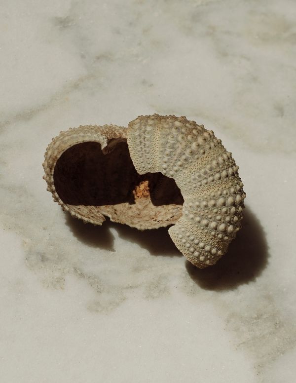 © Manu Gruber - Klabautermann by Manu Gruber