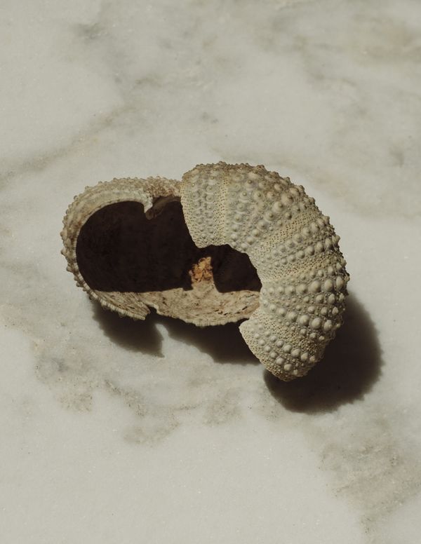 © Manu Gruber - Klabautermann by Manu Gruber