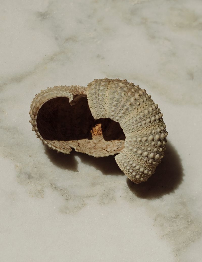 © Manu Gruber - Klabautermann by Manu Gruber