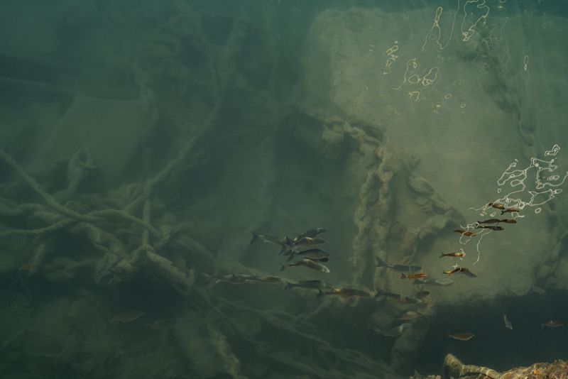 © Manu Gruber - Klabautermann by Manu Gruber