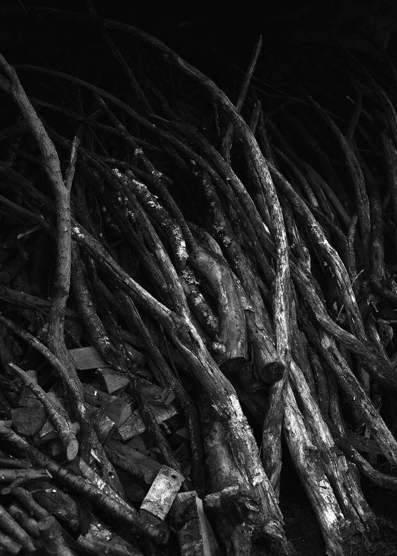 © Joana Dionísio - Image from the A world that speaks in your ear photography project