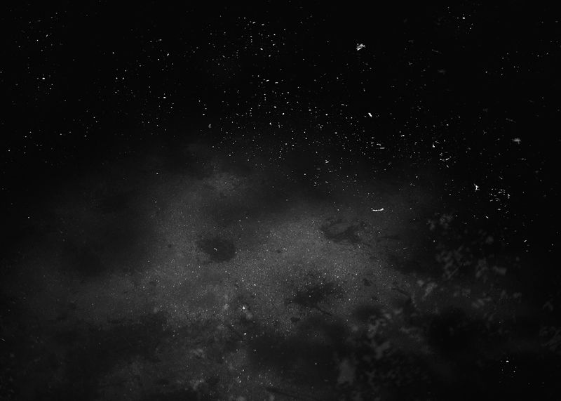 © Joana Dionísio - Image from the A world that speaks in your ear photography project
