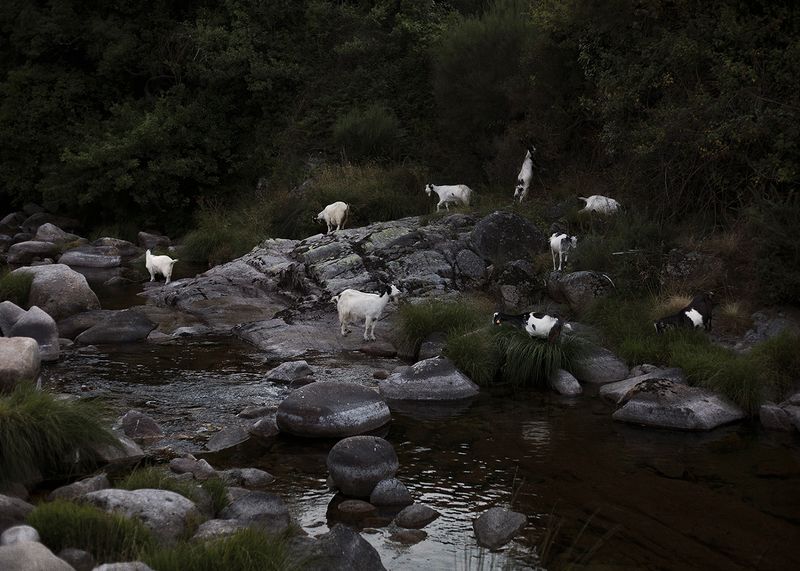 © Joana Dionísio - Image from the A world that speaks in your ear photography project