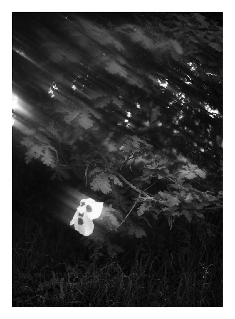 © Joana Dionísio - Image from the And the shape of things disappeared for a while photography project