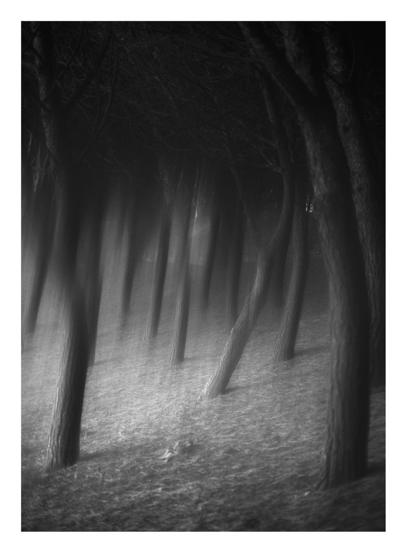 © Joana Dionísio - Image from the And the shape of things disappeared for a while photography project