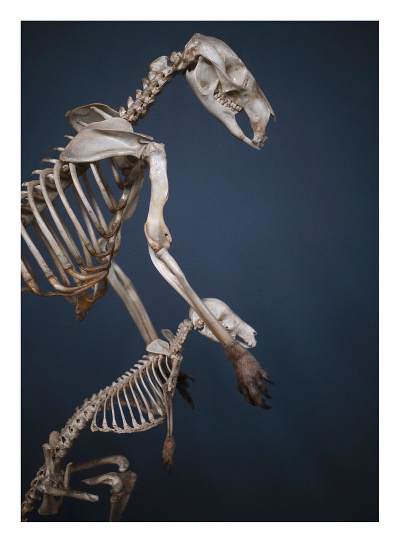 © Joana Dionísio - Image from the And the shape of things disappeared for a while photography project