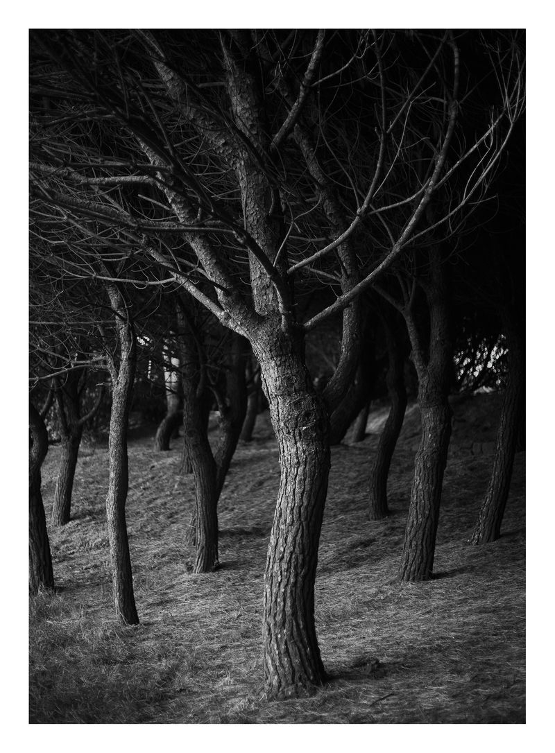 © Joana Dionísio - Image from the And the shape of things disappeared for a while photography project