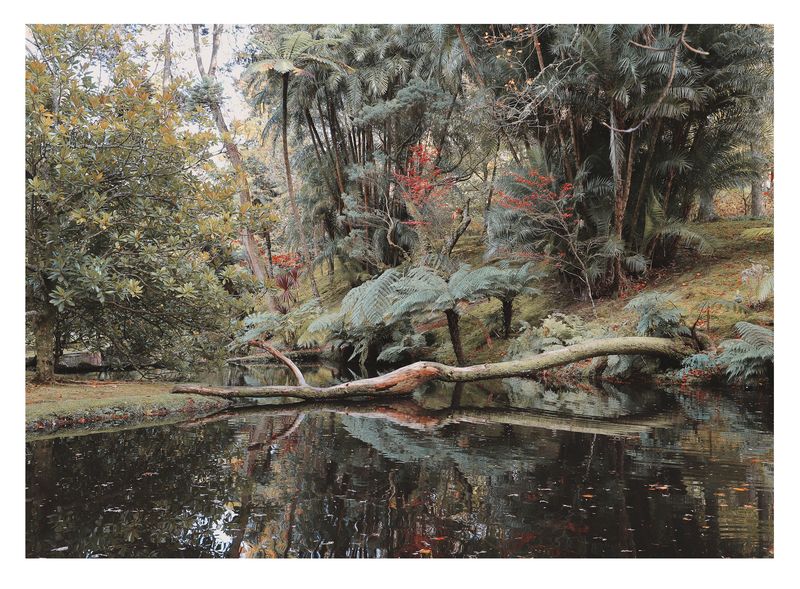 © Joana Dionísio - Image from the And the shape of things disappeared for a while photography project