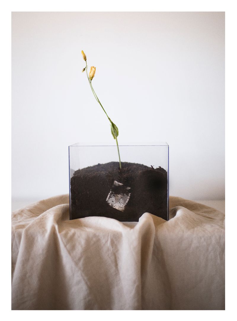 © Joana Dionísio - Image from the And the shape of things disappeared for a while photography project