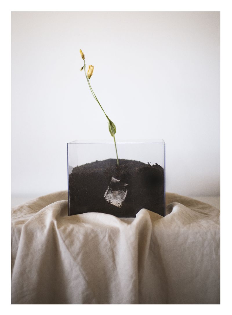 © Joana Dionísio - Image from the And the shape of things disappeared for a while photography project