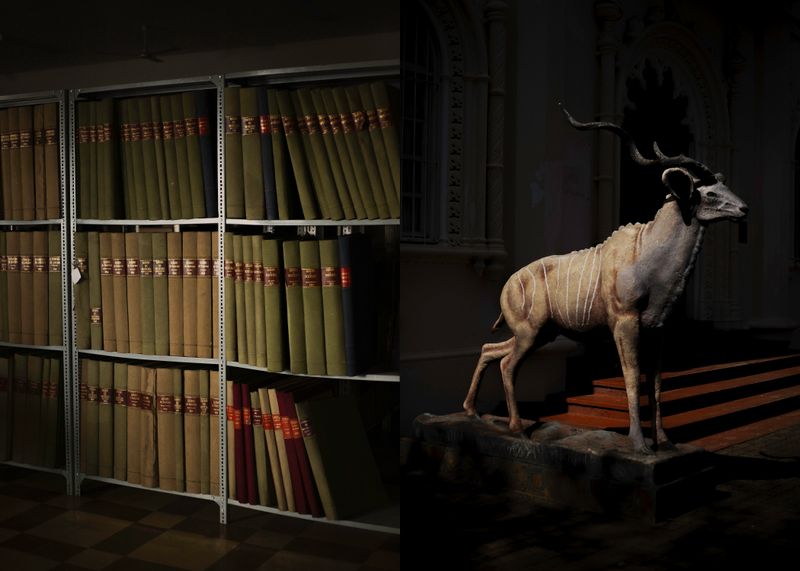 © Joana Dionísio - Image from the Everything is uncomfortable when the earth shakes photography project