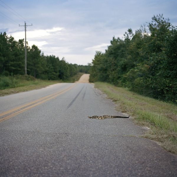 © Rosie Brock - Image from the Soliloquy photography project