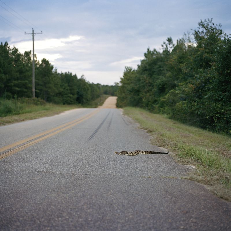 © Rosie Brock - Image from the Soliloquy photography project