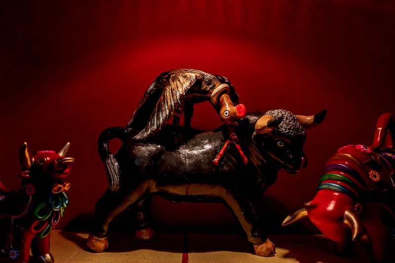 © Iuri Moradillo - Image from the Pukllay photography project