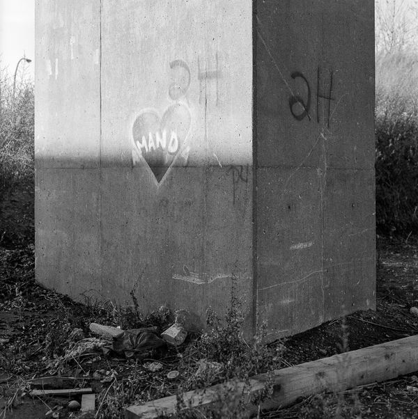 © Amir Atouani - Amanda