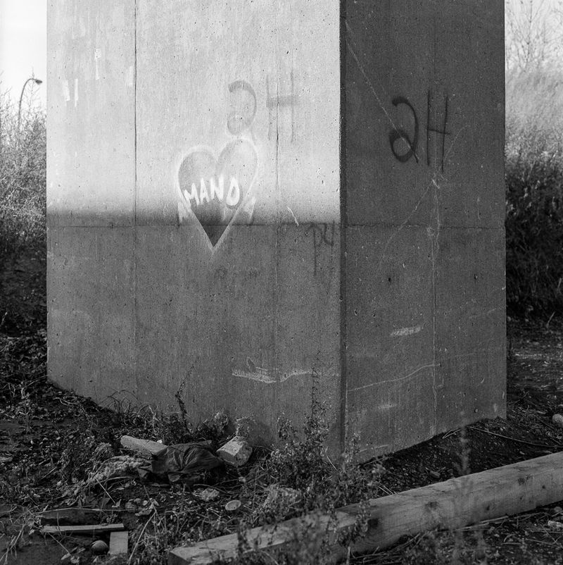 © Amir Atouani - Amanda