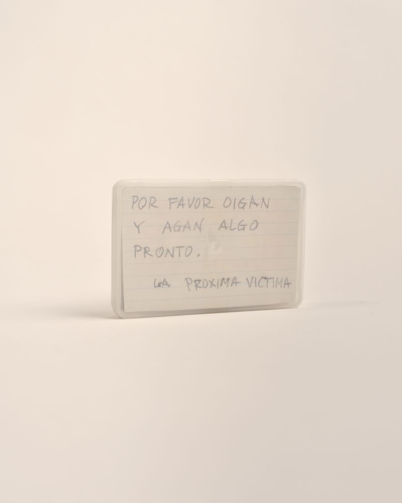 © Christopher Gregory-Rivera - Image from the El Gobierno Te Odia photography project