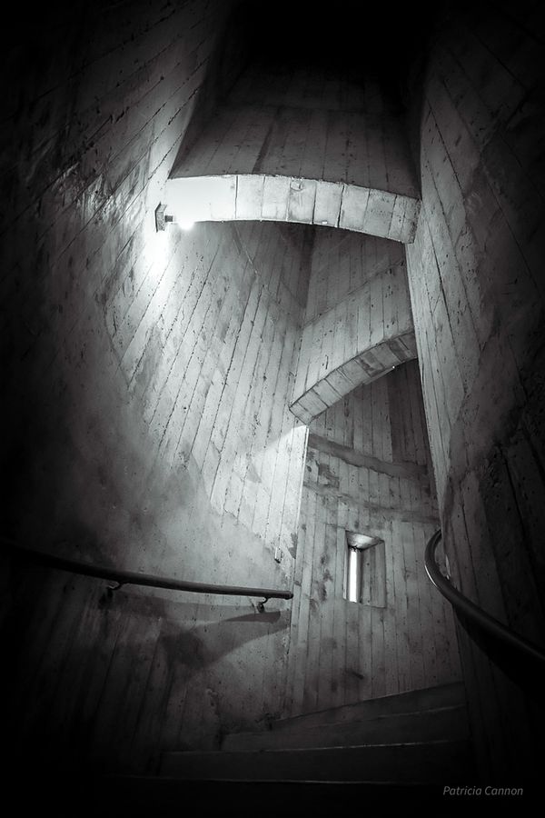 “Coit Tower 2”