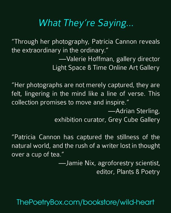 Wild Heart by Patricia Cannon.