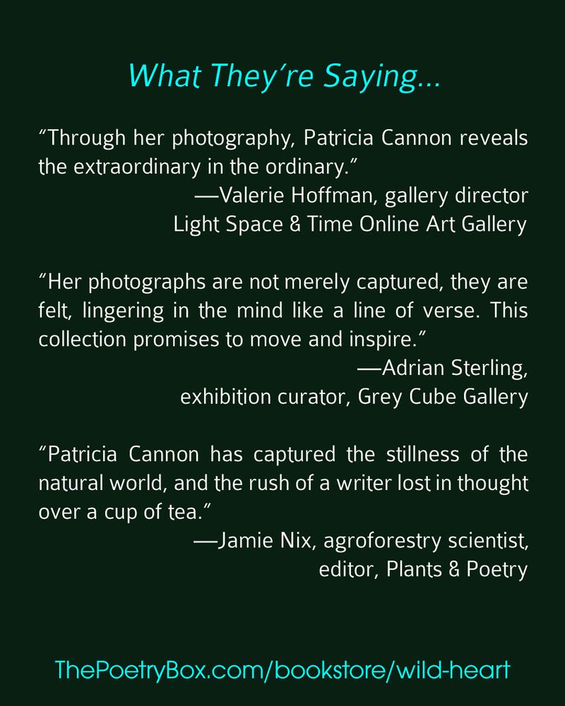 Wild Heart by Patricia Cannon.