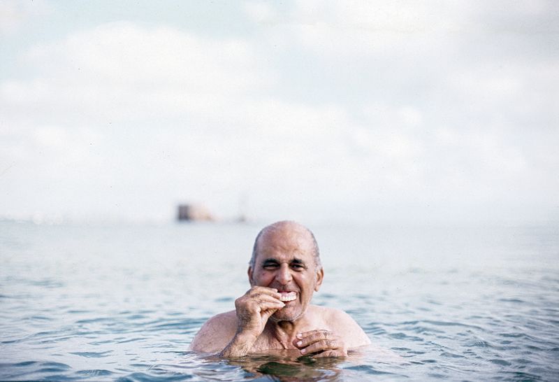 © mohamed bakri - Image from the Sweet or Bitter ? photography project