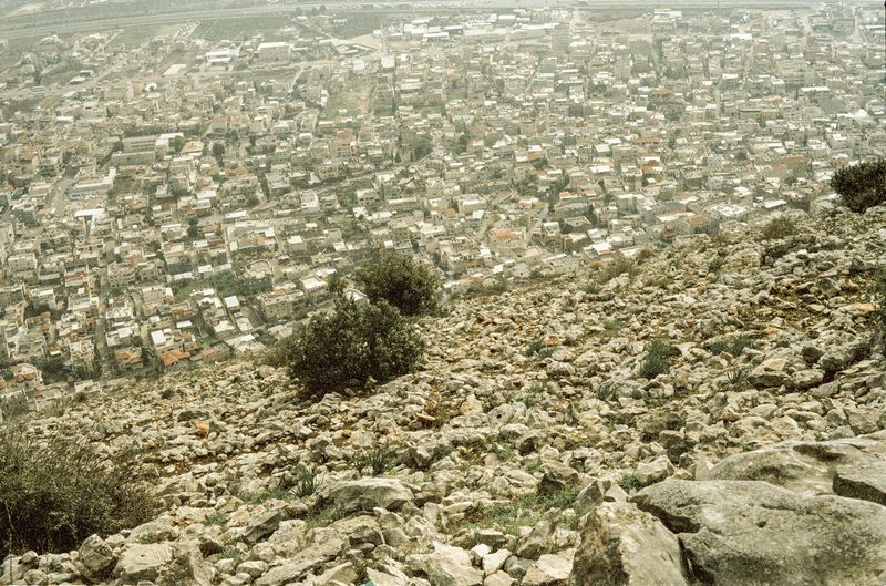 © mohamed bakri - Image from the Sweet or Bitter ? photography project