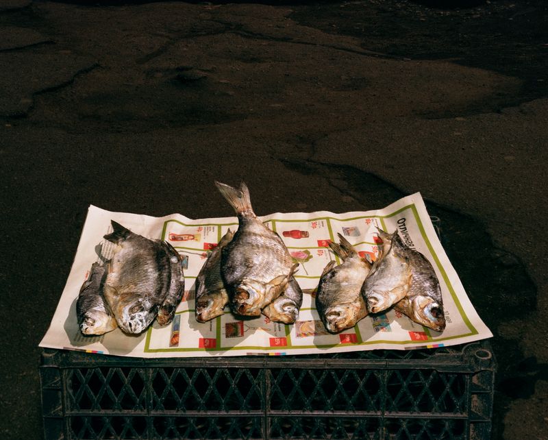 © Lia  Darjes - Image from the Tempora Morte photography project