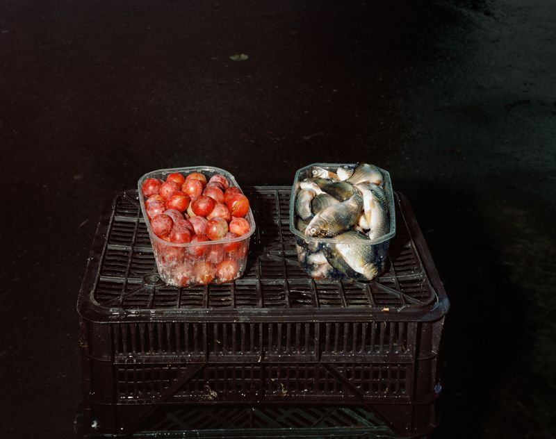 © Lia  Darjes - Image from the Tempora Morte photography project