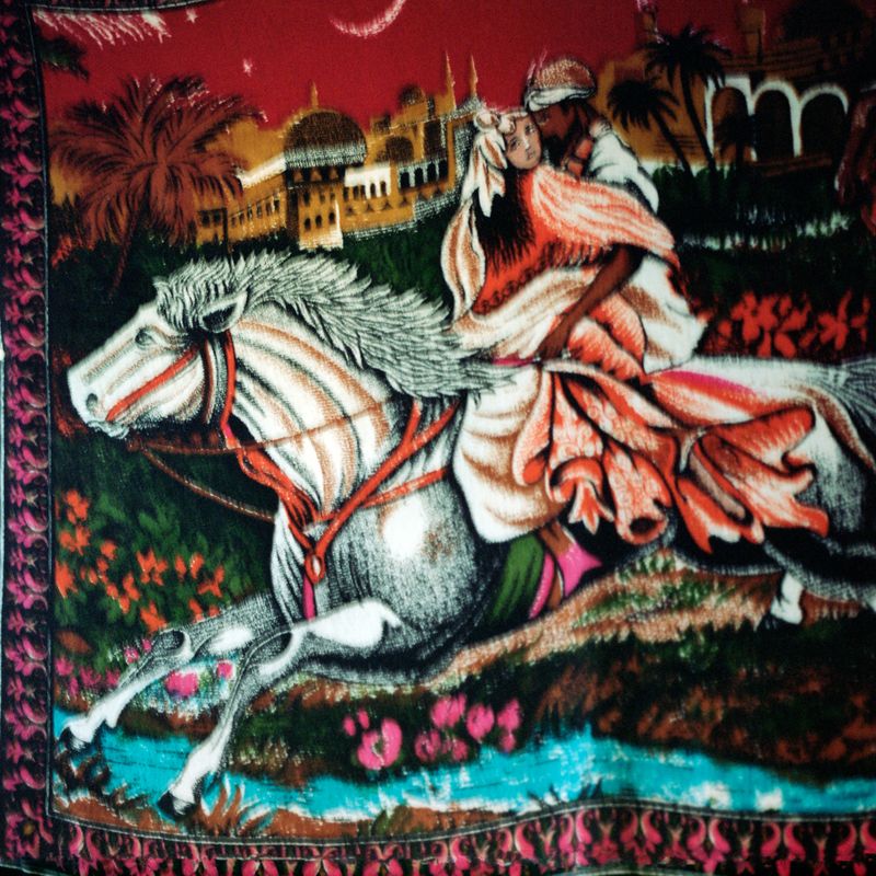 © Lia  Darjes - Traditional gender-rolls struggle a lot of biographies of queer muslims.