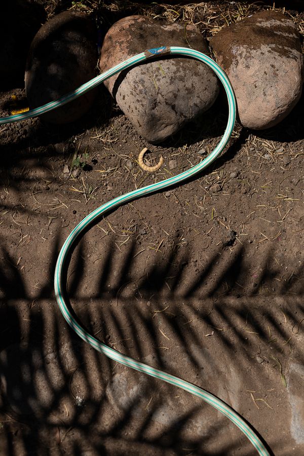 © Dagne Cobo Buschbeck - Image from the Caribeños photography project