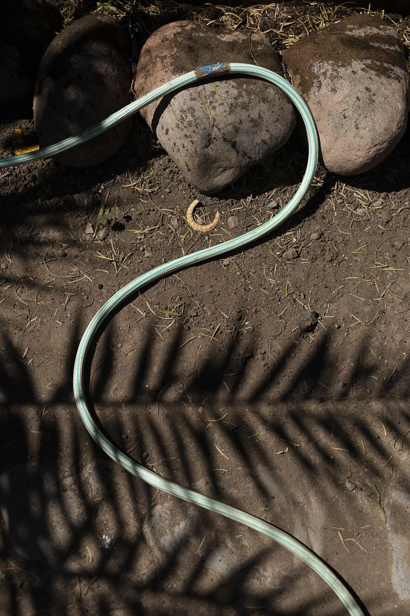 © Dagne Cobo Buschbeck - Image from the Caribeños photography project