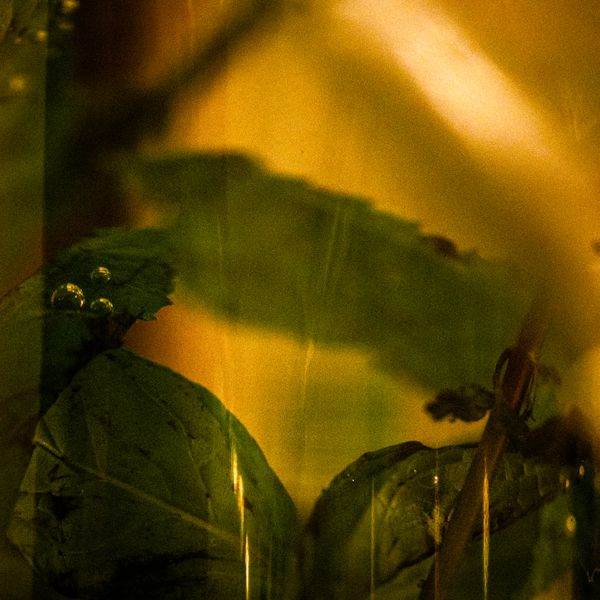 © Naïla Longefaix - Image from the la Part des Choses photography project