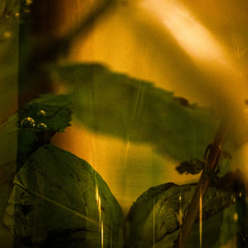 © Naïla Longefaix - Image from the la Part des Choses photography project