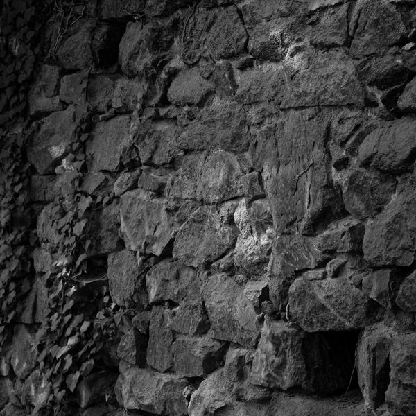 © Naïla Longefaix - Image from the I should shut up maybe. photography project