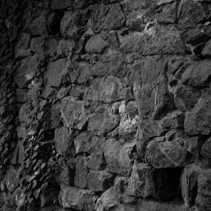 © Naïla Longefaix - Image from the I should shut up maybe. photography project