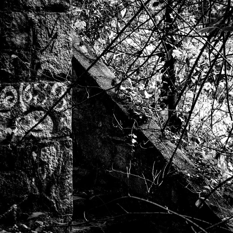 © Naïla Longefaix - Image from the I should shut up maybe. photography project