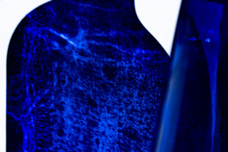 © Naïla Longefaix - Image from the with the ants photography project