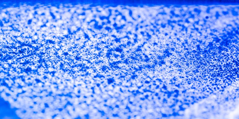 © Naïla Longefaix - Image from the with the ants photography project