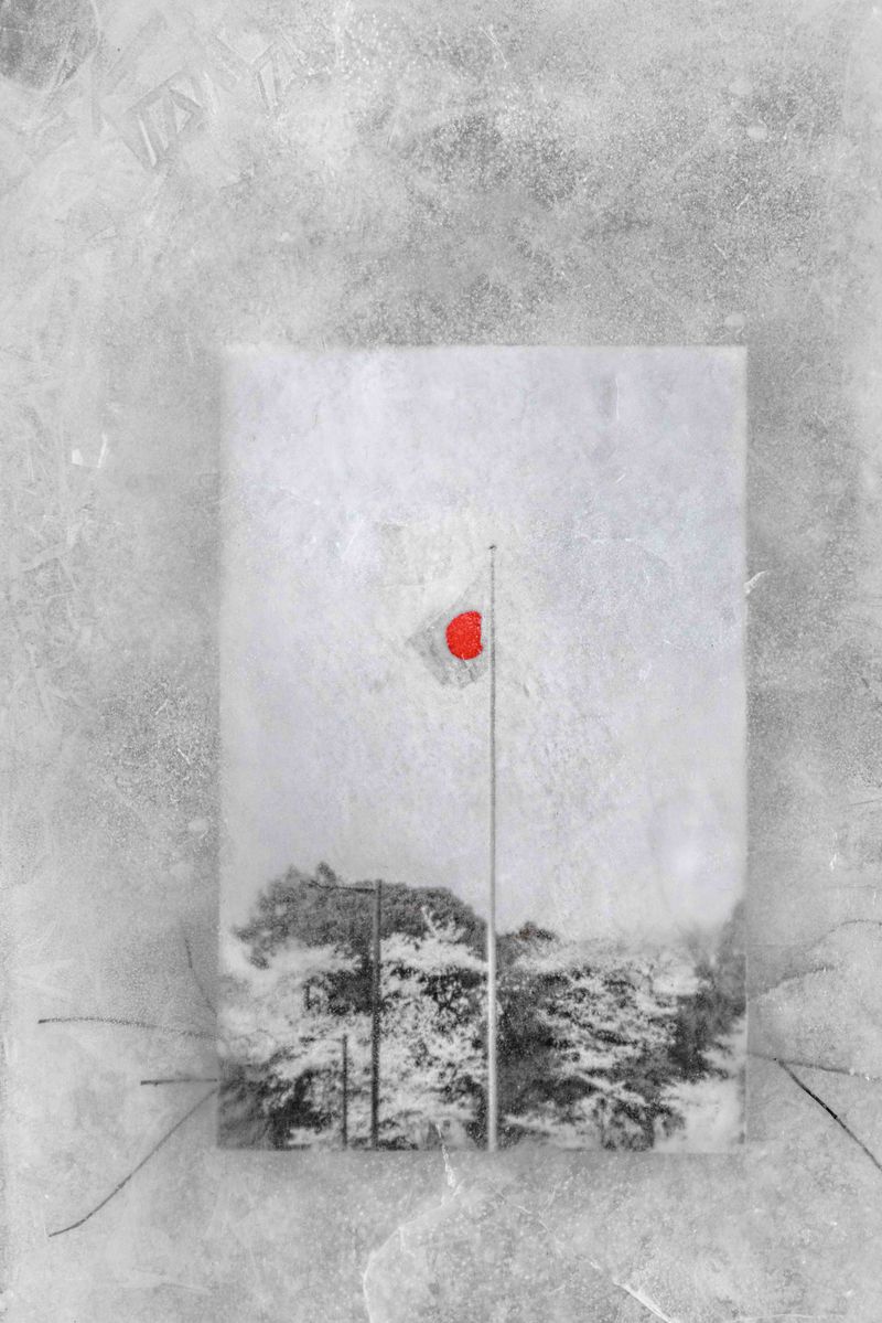 © Julia Wimmerlin - “If hidden, it’s elegant”Suppressed emotions and behavior etiquette “freeze” interactions with aliens