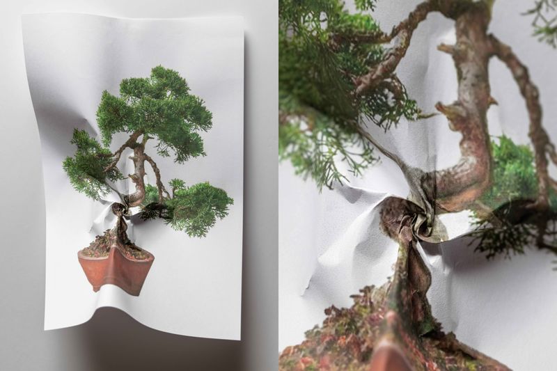 © Julia Wimmerlin - Image from the Alien photography project