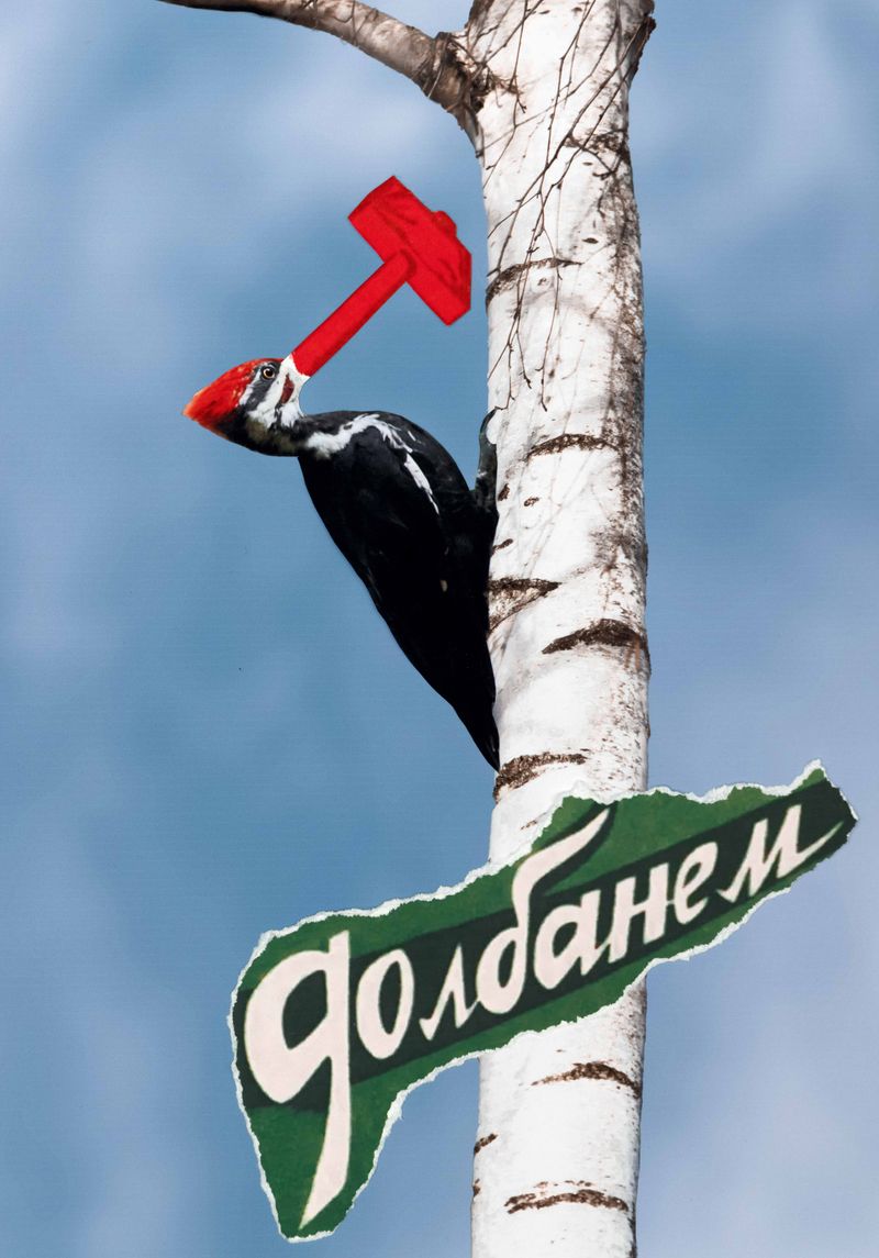 © Julia Wimmerlin - Image from the Stolen language photography project