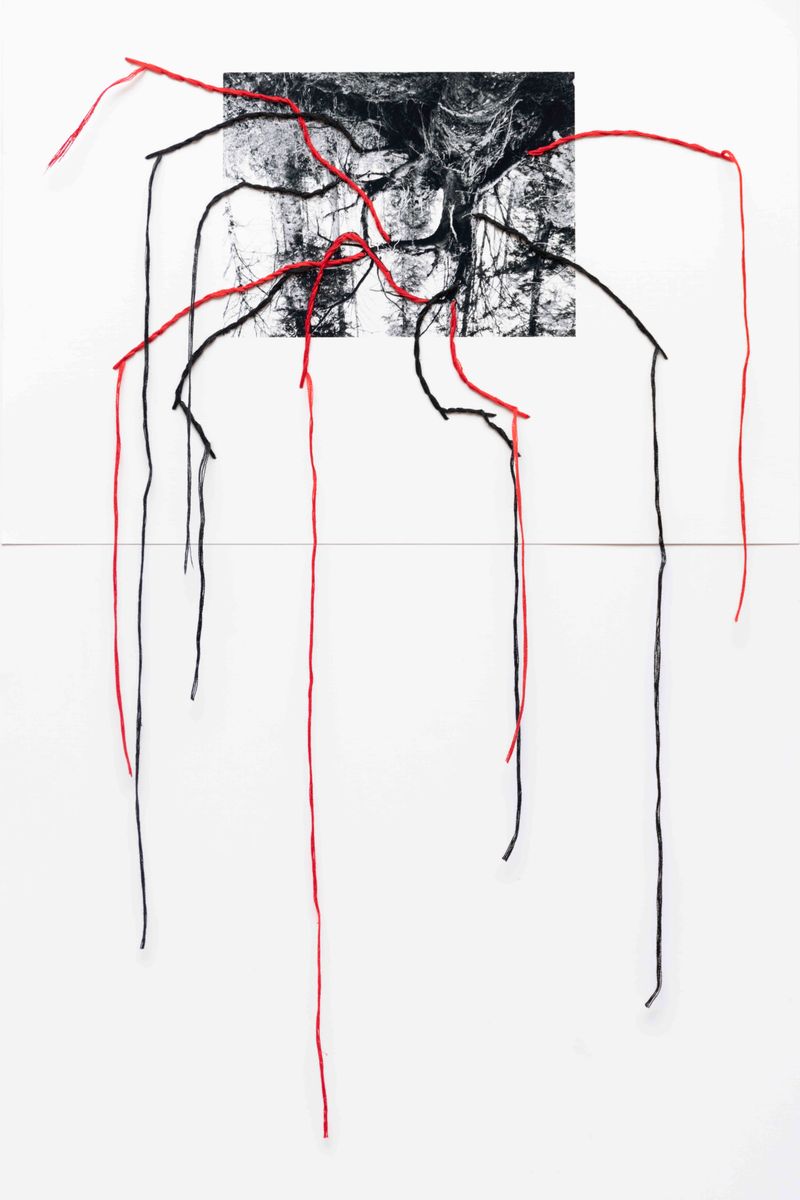 © Julia Wimmerlin - Image from the Stolen language photography project
