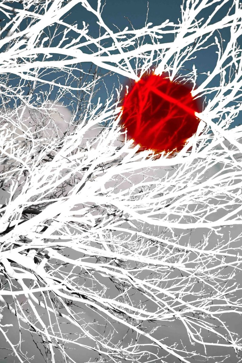 © Julia Wimmerlin - Image from the Reverie photography project