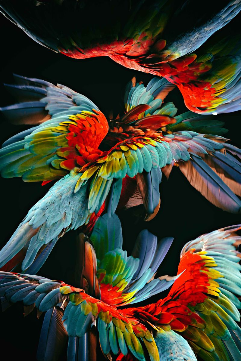 © Julia Wimmerlin - Image from the Reverie photography project