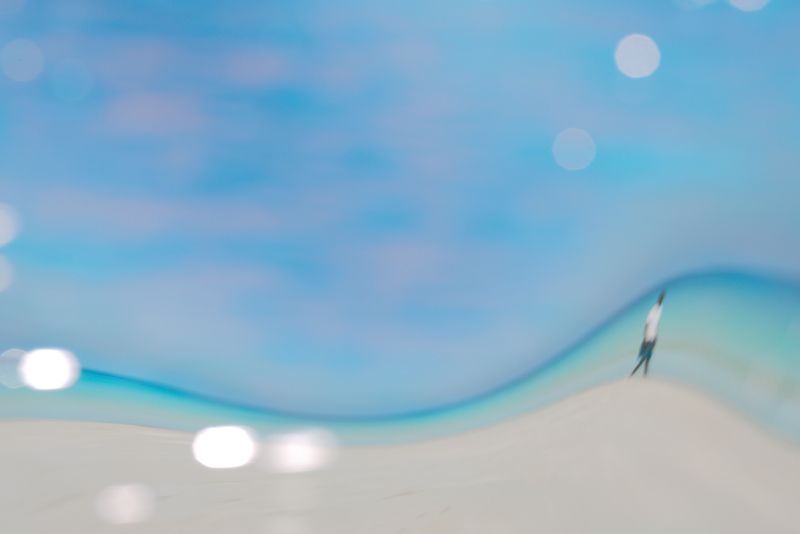 © Julia Wimmerlin - Image from the Down the rabbit hole photography project