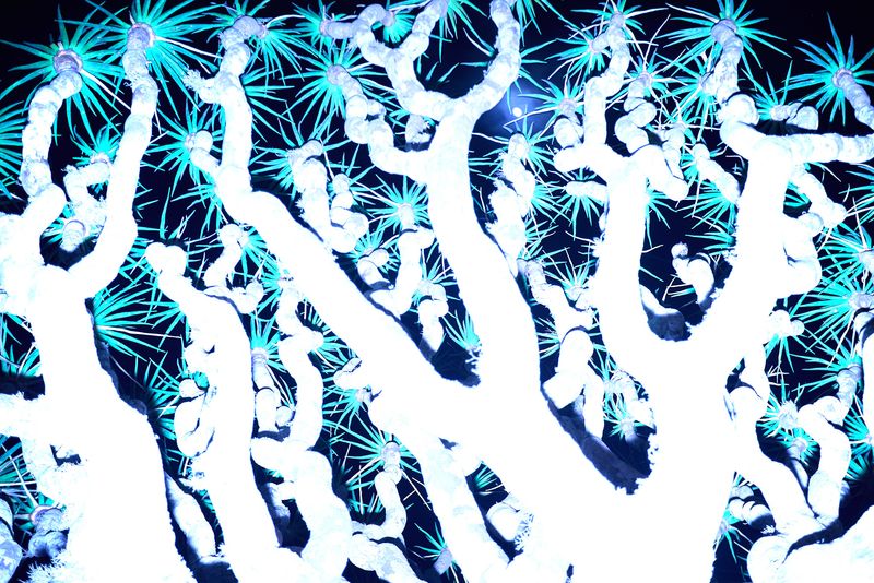 © Julia Wimmerlin - Image from the Down the rabbit hole photography project