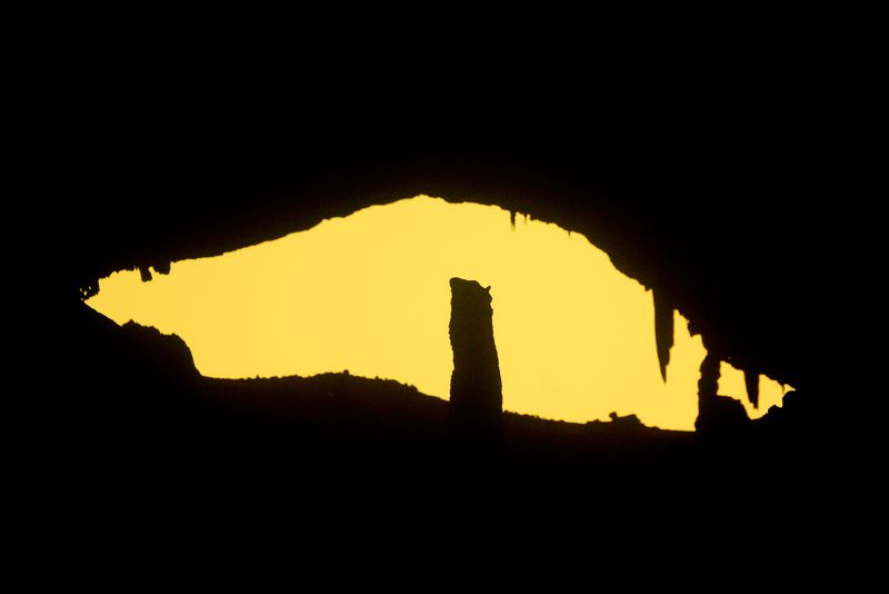 © Julia Wimmerlin - Image from the Down the rabbit hole photography project