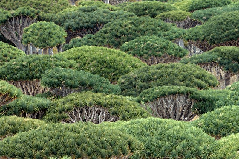 © Julia Wimmerlin - Image from the Down the rabbit hole photography project