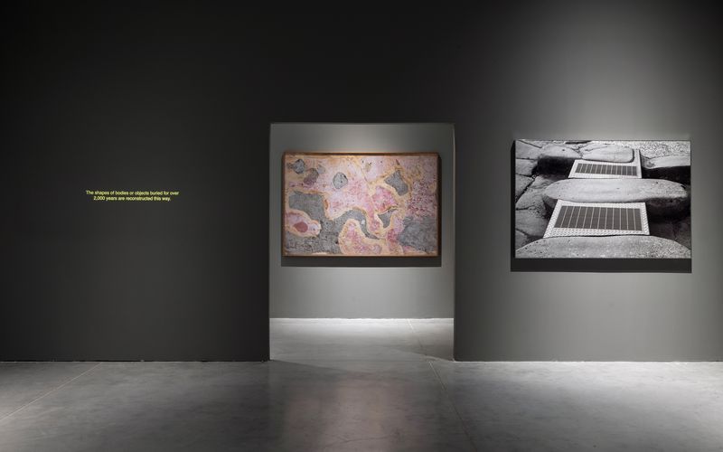View from "A Site for Sore Eyes" (2026), documented by Elad Sarig